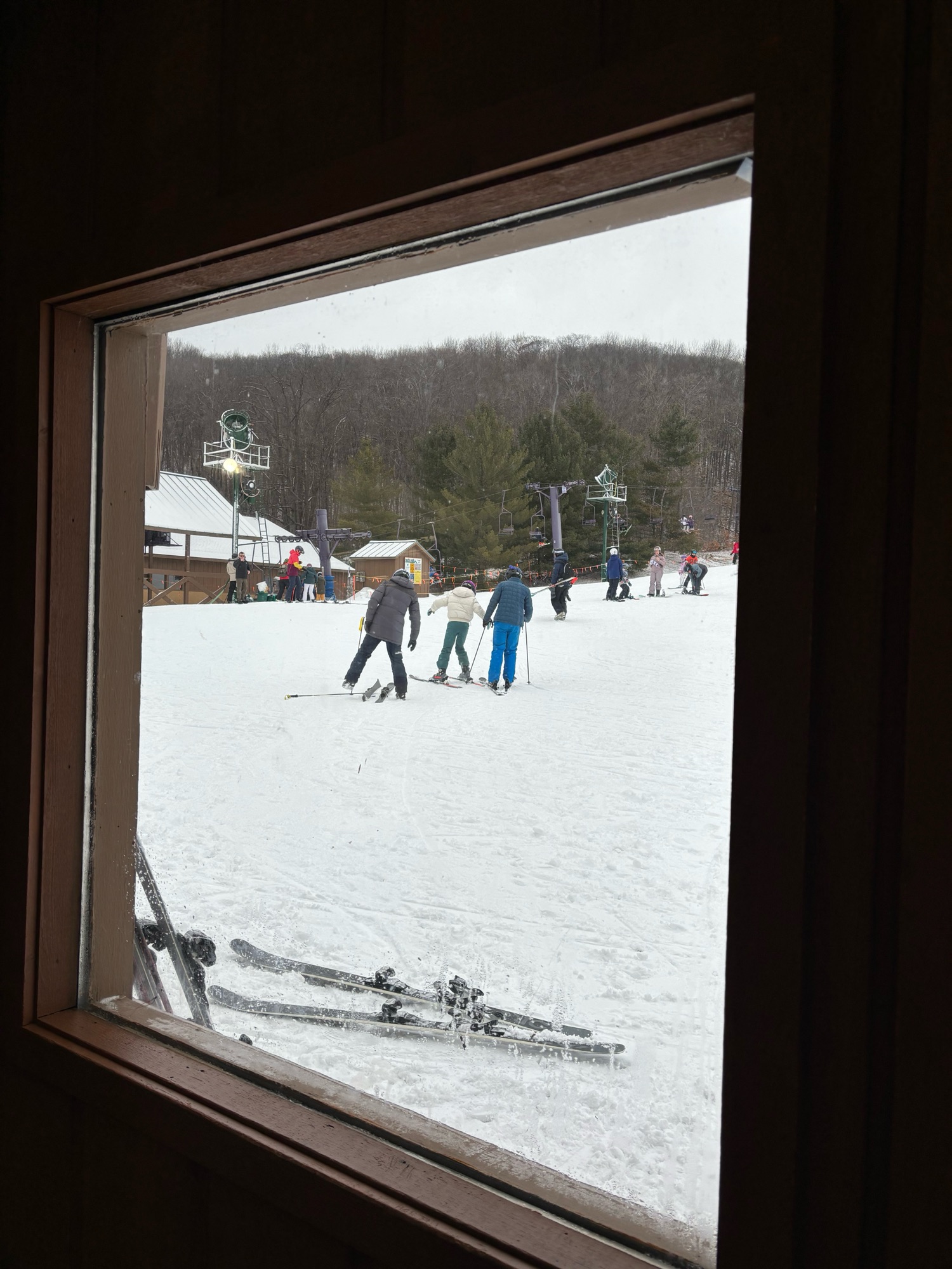 Watching them ski